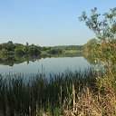 ���� �����, ������, 61 ��� - ��������� 4 �������� 2015 � ������ ���� ����������