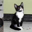 ���� Mikhael, ������, 56 ��� - ��������� 20 ���� 2015 � ������ ������ ��������