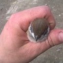 ������� �� ������� ���� ����������