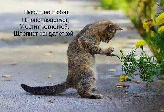 ���� - 24 ��� 2015 � 20:53