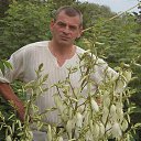 ���� Vasiliy, ����, 56 ��� - ��������� 10 ���� 2015 � ������ ���� ����������