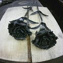 ���� ���, ������, 45 ��� - ��������� 16 ������� 2015 � ������ ���� ����������