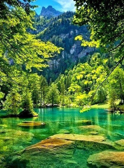 |В| Счастье есть... |В| - 7 мая 2015 в 17:53 - 6