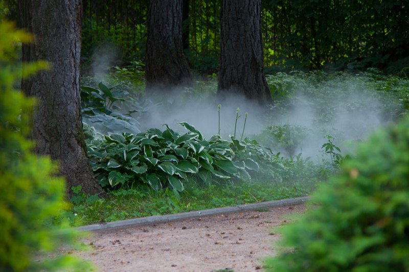 темная пелена накрывает мир. новелла туман mist. искусственный туман. искусственный туман. туманная завеса.