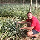 ���� ����, �����������, 59 ��� - ��������� 7 ���� 2015