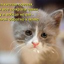 ���� �����, �����-���������, 67 ��� - ��������� 27 ���� 2015 � ������ ������ ��������