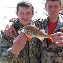 ���� �������, �����������, 51 ��� - ��������� 9 ��� 2015