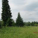 ���� ������, �����������, 61 ��� - ��������� 15 ���� 2015 � ������ ����� ������ ����� ������������ ������