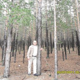 ��������, ������, 42 ����