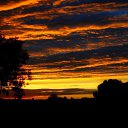 ���� Feruza, ������ - ��������� 20 ��� 2015 � ������ ���� ����������