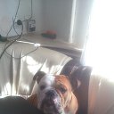  , --, 54  -  16  2015    