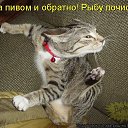 ���� ����, �����������, 41 ��� - ��������� 6 ������� 2015 � ������ ������ ��������