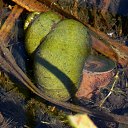 ���� �����, �����, 64 ���� - ��������� 9 ���� 2015 � ������ ����� ���� ���� (07.06.2015)�