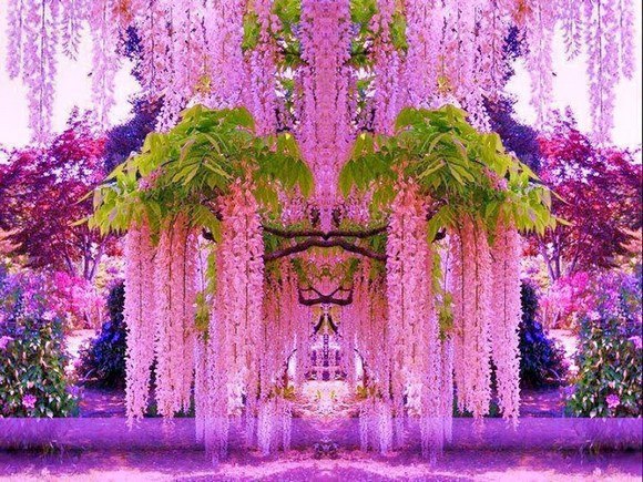 ������ ����, ����������, �� �������� ���� ���������� ����, ��� �� ��� � ������... ���������� � ...