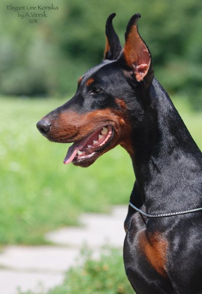 ����� ������� - 8 �������� 2015 � 18:05 - 4