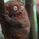 ���� �����, �����-��������� - ��������� 18 ���� 2015 � ������ ���� ����������