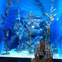 ���� ������, �����������, 57 ��� - ��������� 6 ���� 2015 � ������ ���� ����������