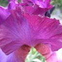 ���� Olga, ������, 78 ��� - ��������� 29 ������� 2015 � ������ ������ ��������