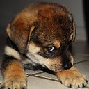 ���� ����������, ������ - ��������� 29 ���� 2015 � ������ ������ ��������