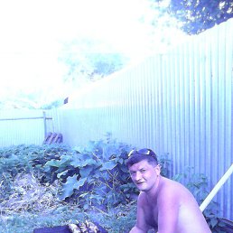 ������, �������, 51 ���