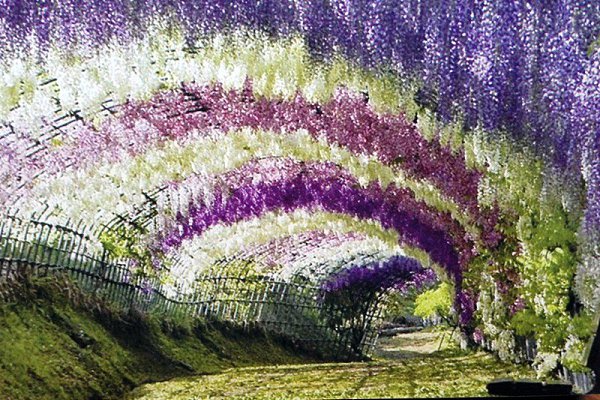 ������ ����, ����������, �� �������� ���� ���������� ����, ��� �� ��� � ������... ���������� � ... - 6