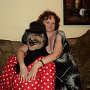 ���� �������, �������� - ��������� 27 ���� 2015 � ������ ���� ����������