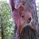 ���������� ��������� �� ������� �������