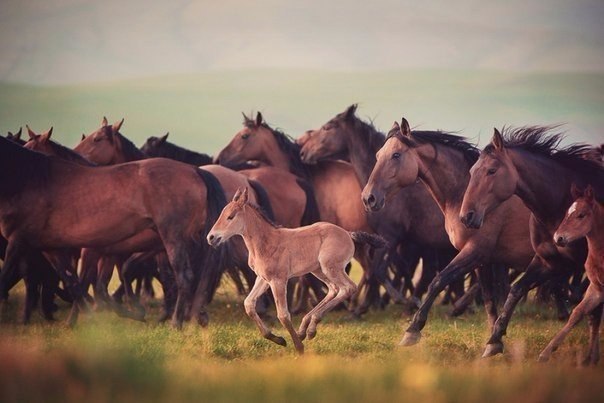   .#nature@travel.blog - 5