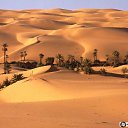 ���� Sofiane, ���� - ��������� 25 ���� 2015 � ������ �ALGERIE�
