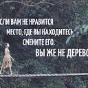 ���� ������, ����, 52 ���� - ��������� 17 ���� 2015 � ������ ������ ��������