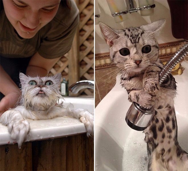   .#animal@travel.blog - 6