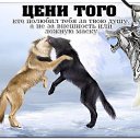 ���� �������, ������, 48 ��� - ��������� 3 ���� 2015