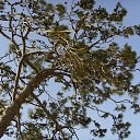 ���� ������, ����� - ��������� 4 ���� 2015 � ������ ���� ����������