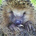 ��� ������ ������. �� ������� ���� ����������