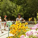  , , 60  -  23  2015     !