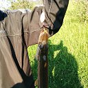 ���� �������, ������������, 37 ��� - ��������� 19 ���� 2015 � ������ �������� �� ���