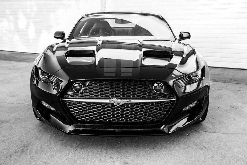 Rocket Galpin Auto Sports        Mustang - 4