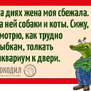 ���� ���������, �������� - ��������� 27 ������� 2015 � ������ ���� ����������
