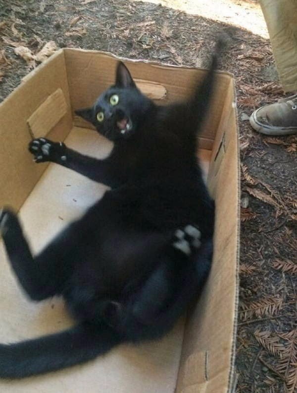 �� �������, ����� ������������ ��-�� ������� �� ���...