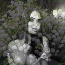 ���� ����, ���� - ��������� 23 ���� 2015 � ������ ������ ��������