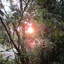 ���� �������, �����, 65 ��� - ��������� 28 ���� 2015 � ������ ���� ����������