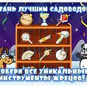 ������ ������� �� ������� ��������-������ �������
