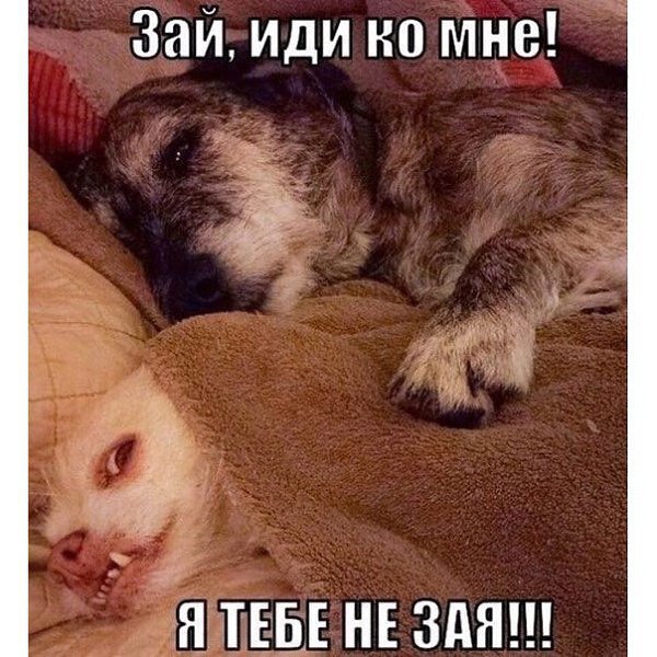 �, ����� �� � ����������