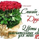 ���� Lyubov Perevezenceva, ��������� - ��������� 18 ���� 2015 � ������ ������ ��������