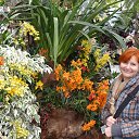 ���� ������, �����, 57 ��� - ��������� 27 ���� 2015 � ������ ����������