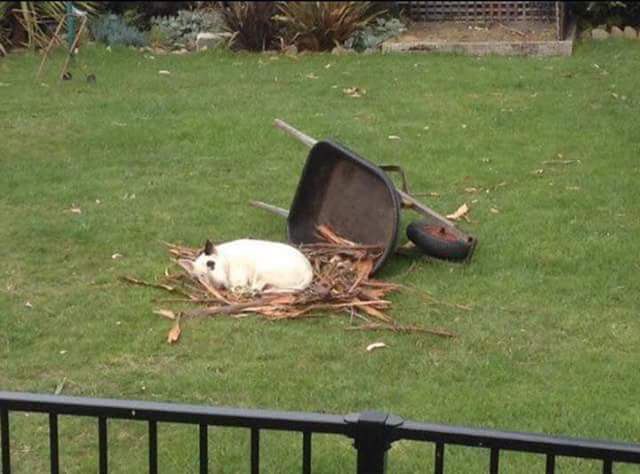 Работал работал работал....помогал помогал....устал.