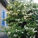 ������ �� ������� ������ ��������