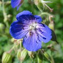 ���� Feruza, ������ - ��������� 20 ��� 2015 � ������ ���� ����������