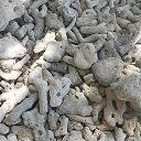    -  ,  -  4  2015   .  2015.  .  10-.