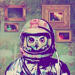 ����������, ������� �����, 29 ���